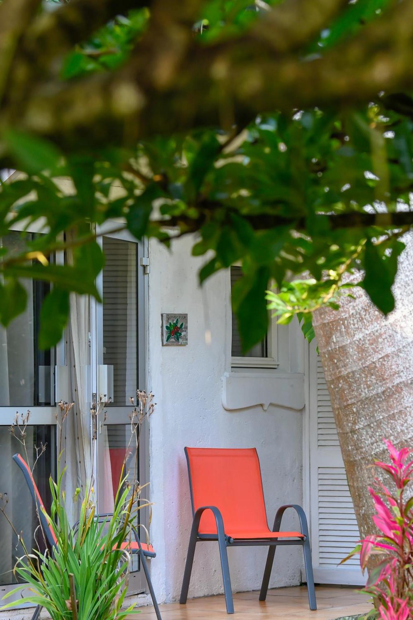 Bras-Panon Le Medinilla Bed & Breakfast エクステリア 写真