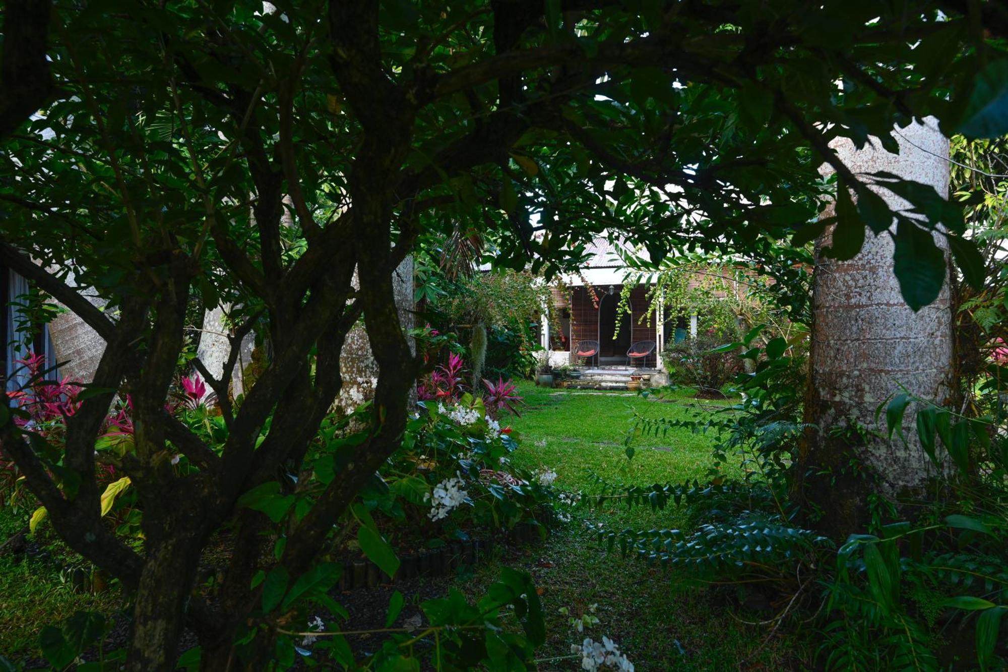 Bras-Panon Le Medinilla Bed & Breakfast エクステリア 写真