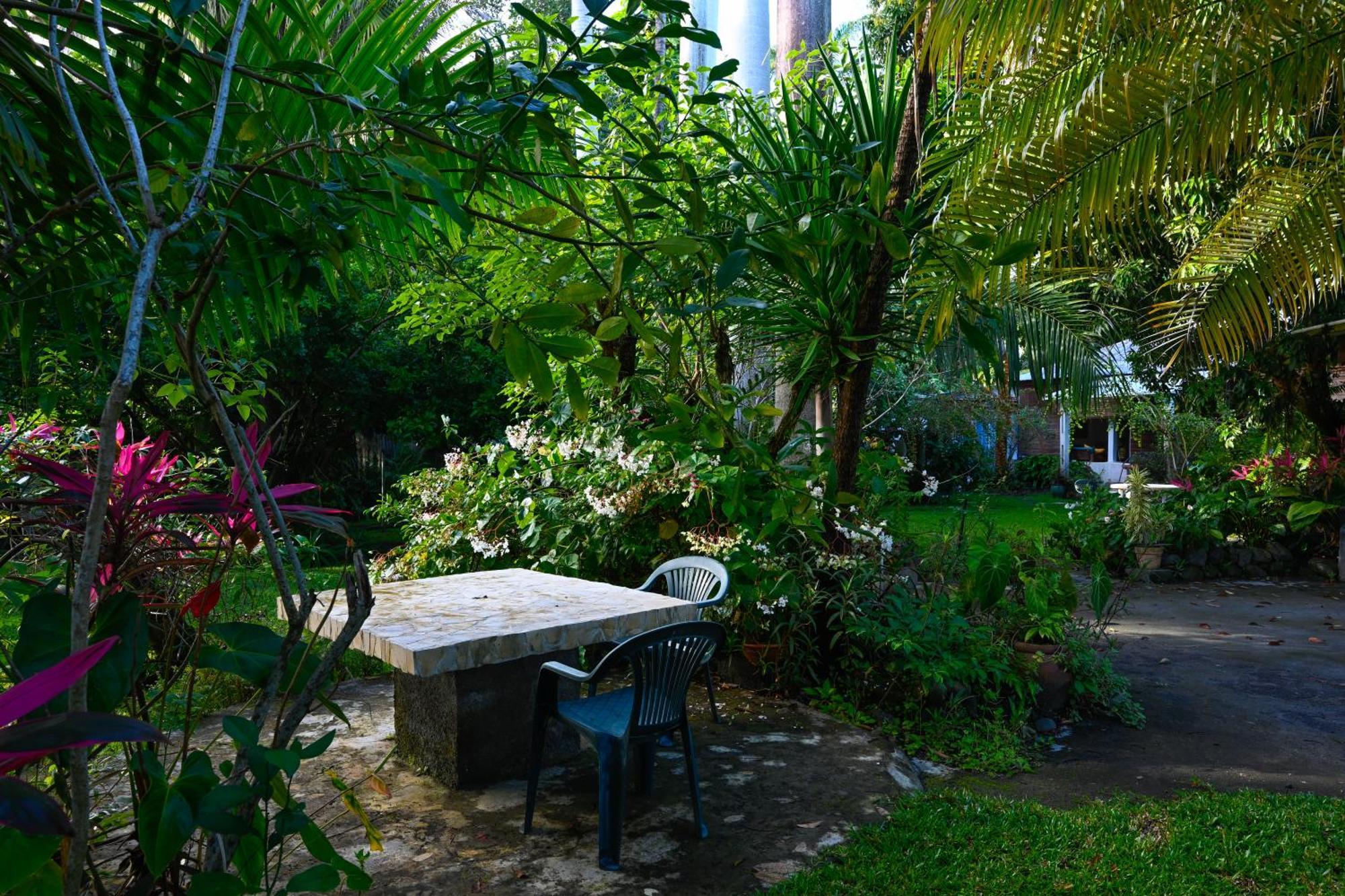 Bras-Panon Le Medinilla Bed & Breakfast エクステリア 写真