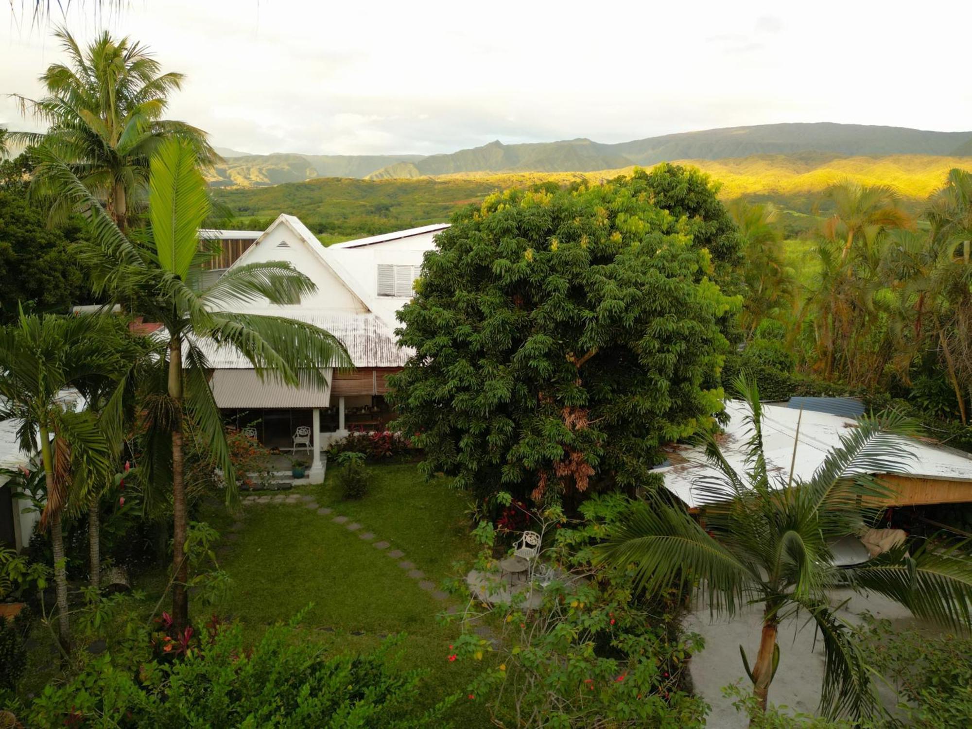 Bras-Panon Le Medinilla Bed & Breakfast エクステリア 写真